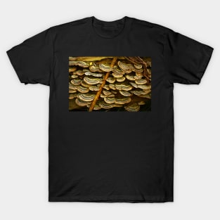 Fungi Frills T-Shirt